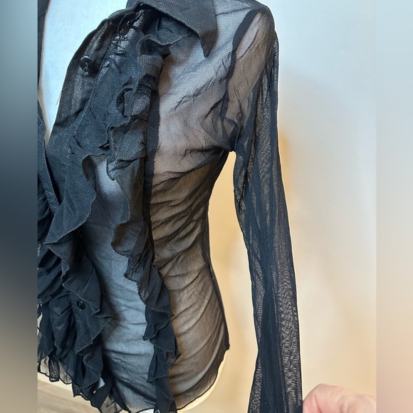 Zebra Sheer Vintage Ruffled Mesh Buttoned Blouse - Picture 5 of 12